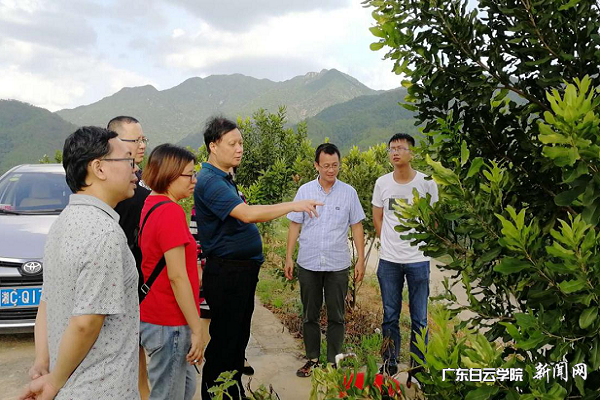 农村科技特派员调研坚果种植基地.png