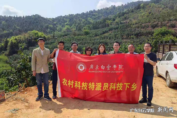 农村科技特派员调研蜜柚基地和茶园.png
